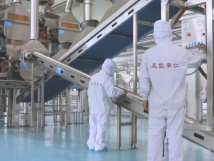 2025年的第一個月，承德亞歐果仁有限公司在山杏產(chǎn)業(yè)的道路上持續(xù)奮進，展現(xiàn)出蓬勃的發(fā)展活力。